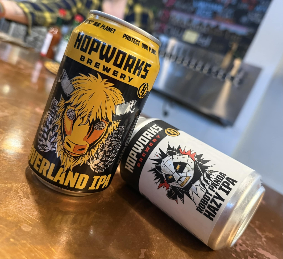 HUB ﾛﾎﾞｯﾄﾊﾟﾝﾀﾞIPA 355ml 6缶 | すがや魅惑の麦酒